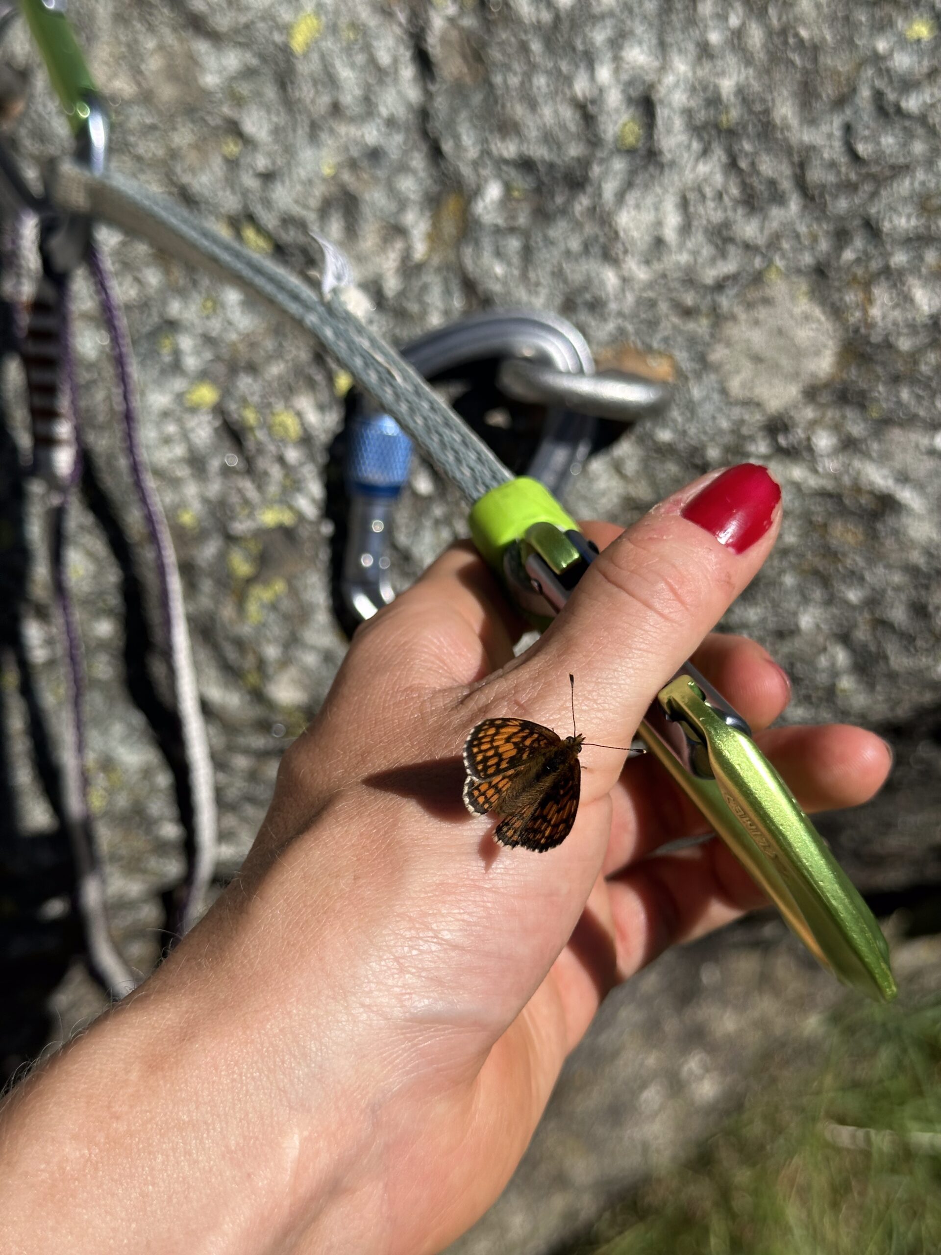 https://blog.arcteryx.com/wp-content/uploads/2025/06/IMG_1569-scaled.jpg